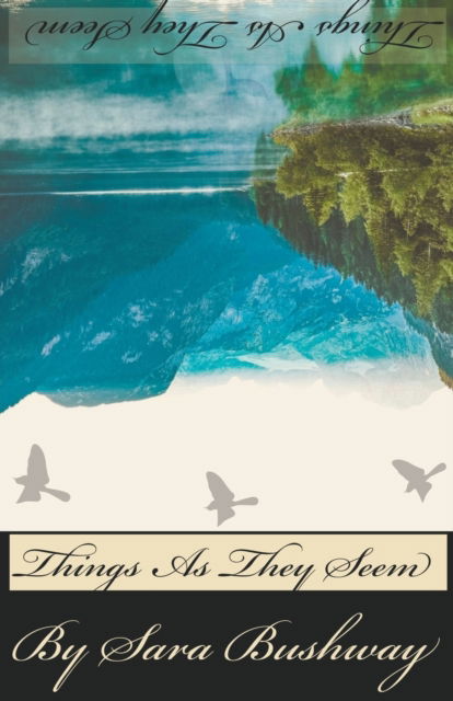 Cover for Sara Bushway · Things As They Seem (Paperback Book) (2020)