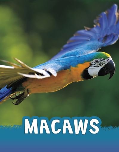 Cover for Jaclyn Jaycox · Macaws - Animals (Hardcover bog) (2021)