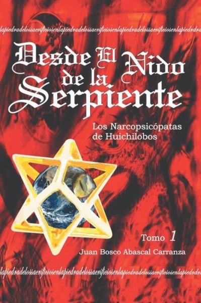 Cover for Ju Abascal Carranza · Desde El Nido De La Serpiente (Paperback Bog) (2014)