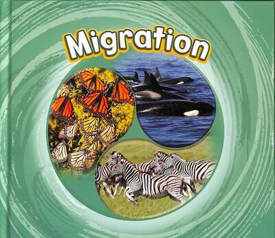 Migration - Cycles of Nature - Jaclyn Jaycox - Books - Capstone Global Library Ltd - 9781474795159 - August 6, 2020