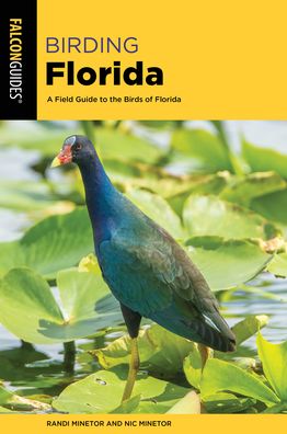 Cover for Randi Minetor · Birding Florida: A Field Guide to the Birds of Florida - Birding Series (Paperback Book) (2021)