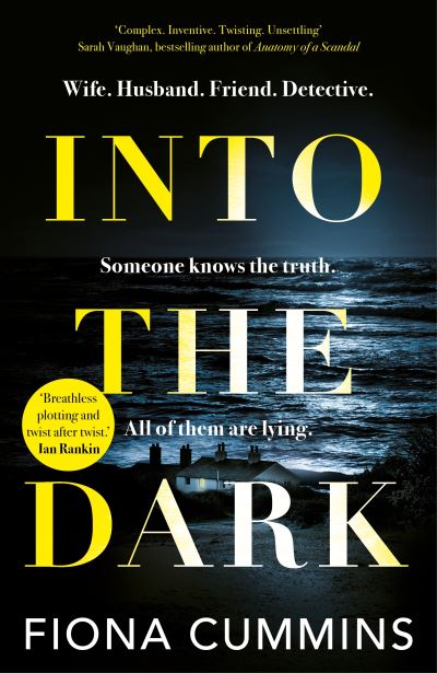 Into the Dark - Fiona Cummins - Książki - Pan Macmillan - 9781529040159 - 14 kwietnia 2022