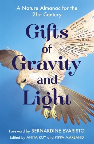 Cover for Anita Roy · Gifts of Gravity and Light (Hardcover Book) (2021)