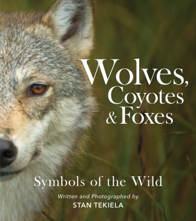 Cover for Stan Tekiela · Wolves, Coyotes &amp; Foxes: Symbols of the Wild - Favorite Wildlife (Pocketbok) (2022)