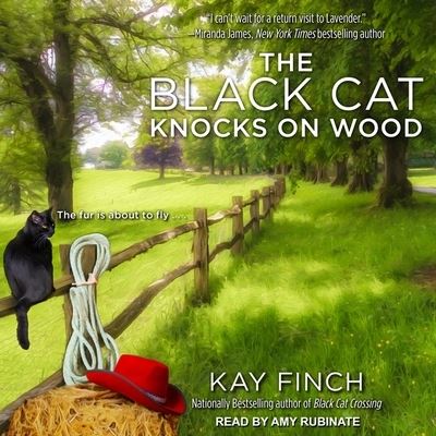 Cover for Kay Finch · The Black Cat Knocks on Wood Lib/E (CD) (2017)