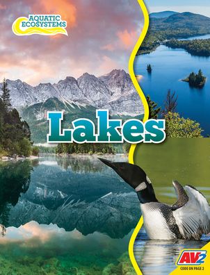 Cover for John Willis · Lakes (Hardcover Book) (2020)