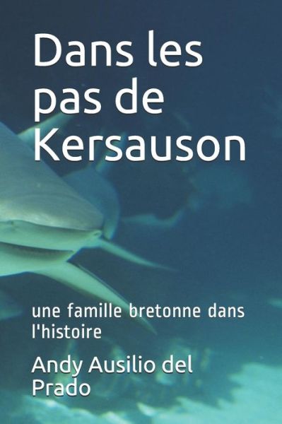 Cover for Andy Ausilio del Prado · Dans les pas de Kersauson (Paperback Book) (2019)