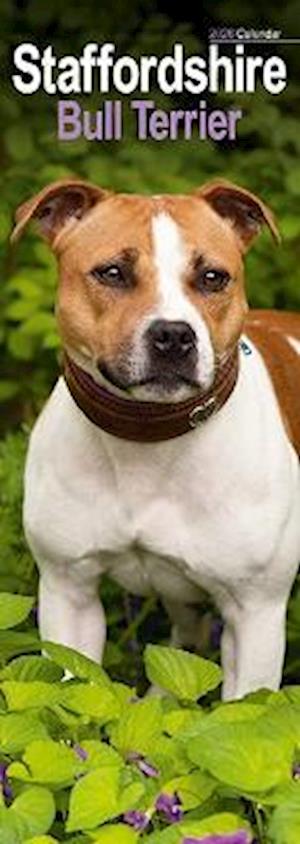 Cover for Staffordshire Bull Terrier Slim Calendar 2026  Dog Breed Slimline Calendar - 12 Month (Calendar) (2025)
