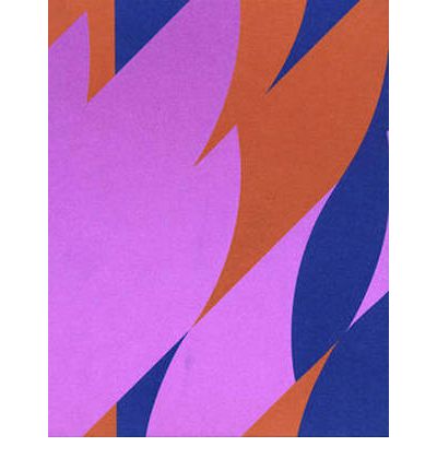 Cover for Jonathan Crary · Bridget Riley: Retrospective (Hardcover Book) (2008)