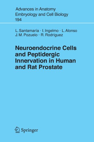 Cover for Luis Santamaria · Neuroendocrine Cells and Peptidergic Innervation in Human and Rat Prostrate - Advances in Anatomy, Embryology and Cell Biology (Paperback Book) [2007 edition] (2007)