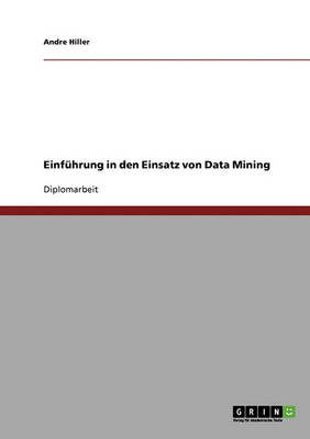 Einführung in den Einsatz von Da - Hiller - Książki - GRIN Verlag - 9783638849159 - 12 listopada 2013