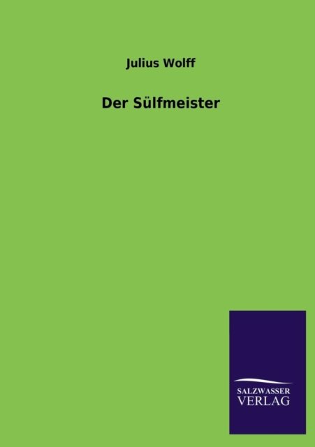 Cover for Julius Wolff · Der Sulfmeister (Paperback Book) [German edition] (2013)