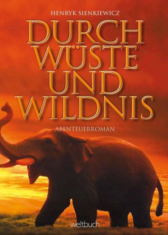 Cover for Sienkiewicz · Durch Wüste Und Wildnis (Book)