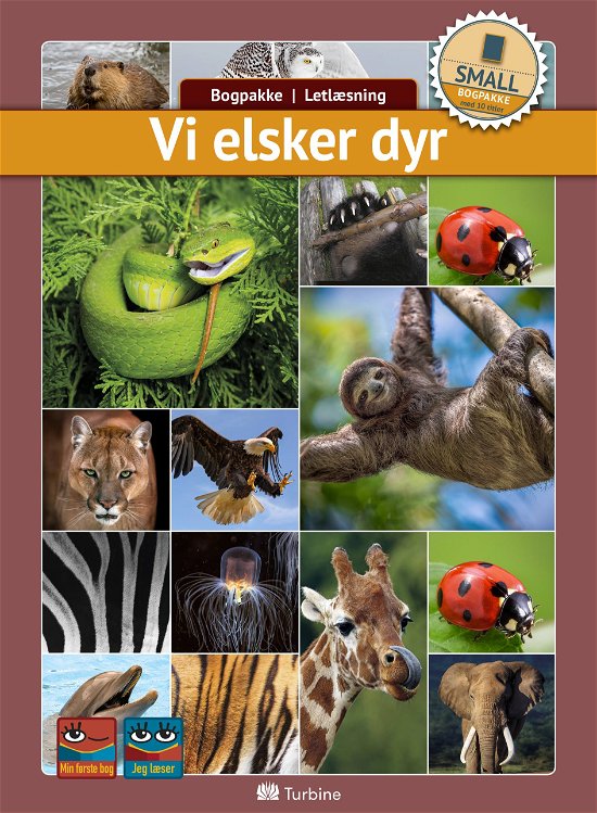 Cover for Bogpakke, letlæsning, fakta · Bogpakke: Vi elsker dyr (SMALL 10 bøger) (Book pack) [1. Painos] (2019)