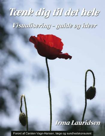 Cover for Irma Lauridsen · Tænk dig til det hele (Sewn Spine Book) [1er édition] (2008)