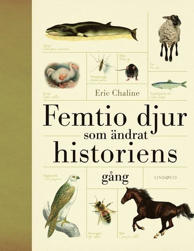 Cover for Eric Chaline · Femtio djur som ändrat historiens gång (Bound Book) (2016)