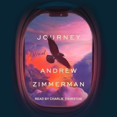 Cover for Andrew Zimmerman · Journey (CD) (2020)