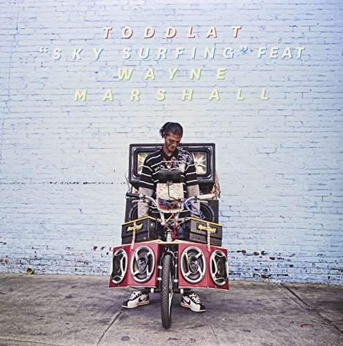 Cover for Toddla T · Sky Surfing (LP) (2010)