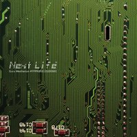 Next Life · Guru Meditation (LP) (2020)