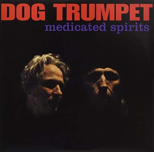 Cover for Dog Trumpet · Medicated Spirits (LP) (2015)