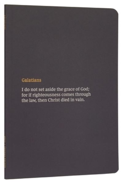 Cover for Thomas Nelson · NKJV Bible Journal - Galatians, Paperback, Comfort Print: Holy Bible, New King James Version (Paperback Book) (2020)