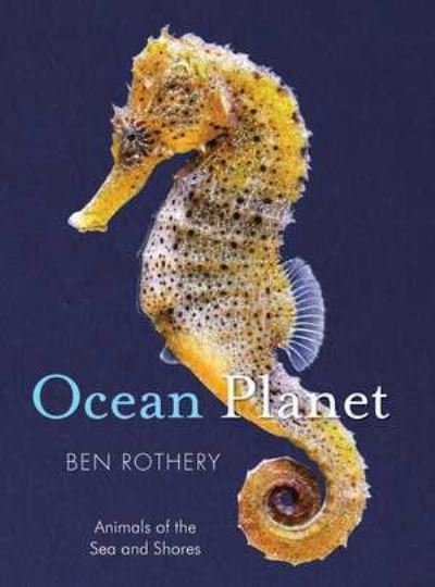 Cover for Ben Rothery · Ocean Planet - Animals of the Sea and Shore (Hardcover bog) (2024)