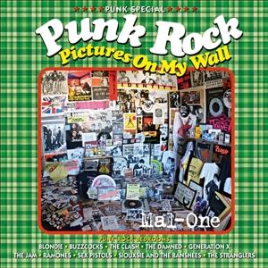 Cover for Mal-one · Punk Rock Pictures on My Wall Book (Book) (2025)