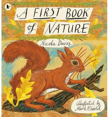 Cover for Nicola Davies · A First Book of Nature (Pocketbok) (2014)