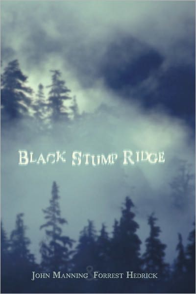 Black Stump Ridge - John Manning - Książki - iUniverse - 9781450289160 - 27 stycznia 2011