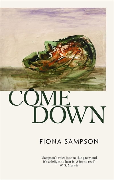 Cover for Fiona Sampson · Come Down (Paperback Book) (2020)