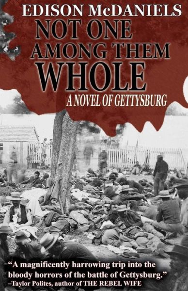 Cover for Edison Mcdaniels · Not One Among Them Whole: a Novel of Gettysburg (Paperback Book) (2013)