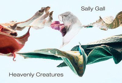 Cover for Sally Gall · Heavenly Creatures (Hardcover Book) (2019)