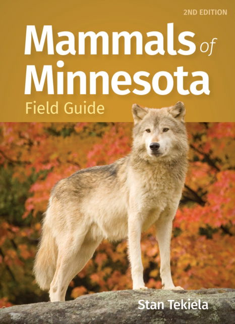 Cover for Stan Tekiela · Mammals of Minnesota Field Guide (Paperback Book) [2 Revised edition] (2025)