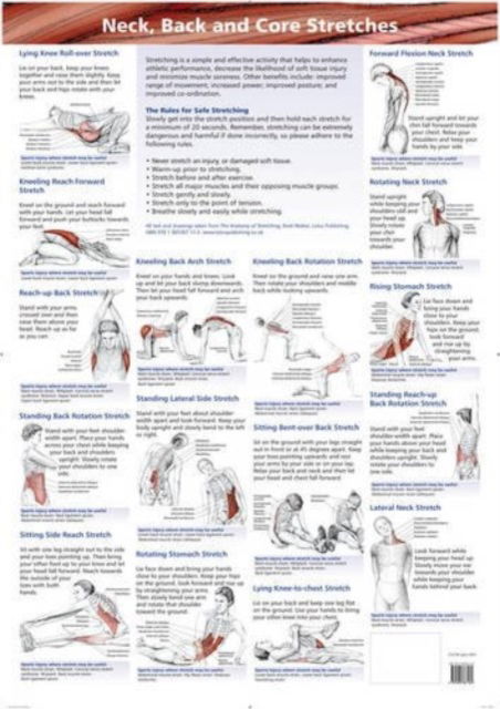 Neck, Back and Core Stretches - Brad Walker - Books - Lotus Publishing - 9781905367160 - October 31, 2008