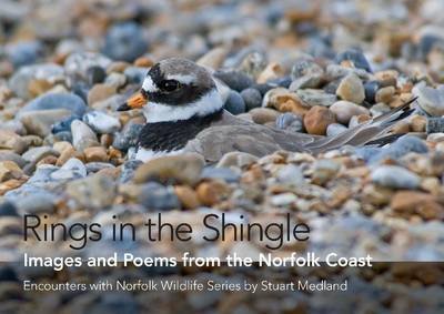 Cover for Rings in the Shingle: Images and Poems from the Norfolk Coast - Words and Images of Natural Norfolk (Inbunden Bok) [First edition] (2014)