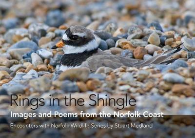 Cover for Rings in the Shingle: Images and Poems from the Norfolk Coast - Words and Images of Natural Norfolk (Hardcover Book) [First edition] (2014)