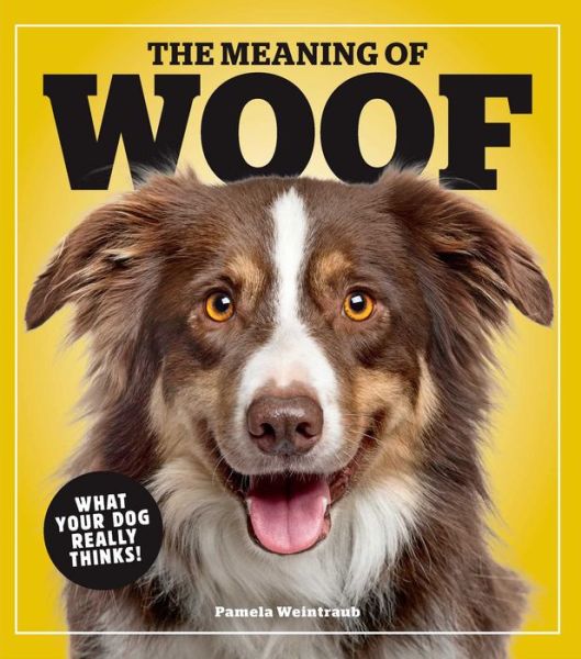 Cover for Pamela Weintraub · The Meaning Of Woof: What Your Dog Really Thinks! (Paperback Book) (2020)