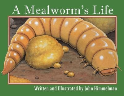 Cover for John Himmelman · A Mealworm's Life (Paperback Book) (2022)