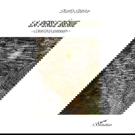 Cover for Shaffa Eddine · La Perle bénie (Paperback Book) (2020)