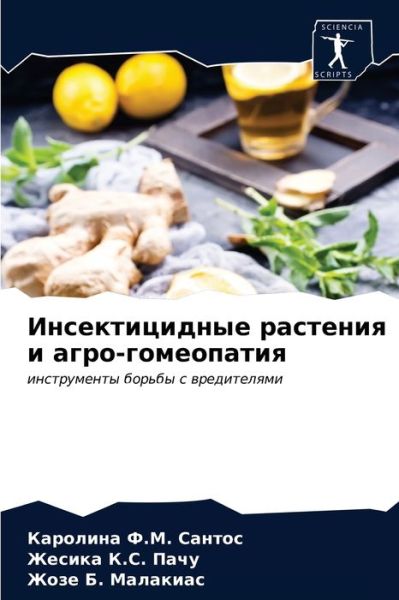 Cover for ???????? ?.?. ?????? · ????????????? ???????? ? ????-?????????? (Paperback Book) (2021)