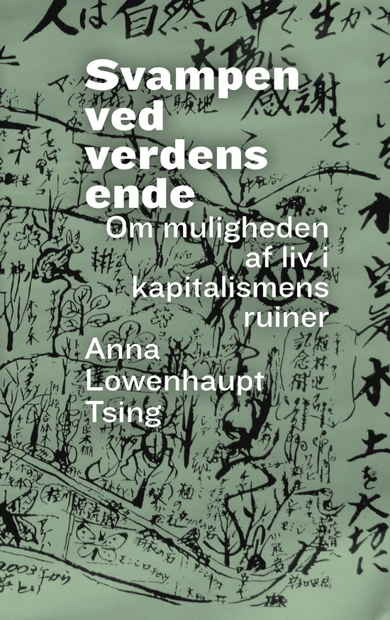 Anna Lowenhaupt Tsing · Svampen ved verdens ende (Paperback Book) [1º edição] (2024)