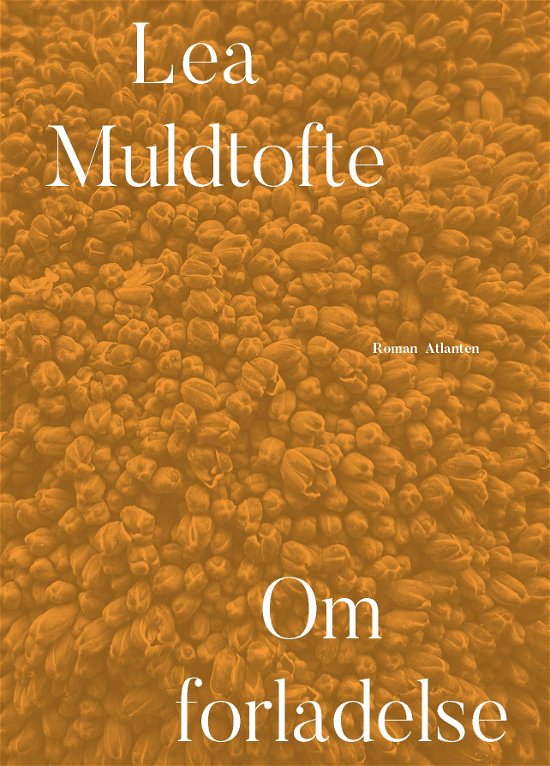 Cover for Lea Muldtofte · Om forladelse (Sewn Spine Book) [1er édition] (2023)