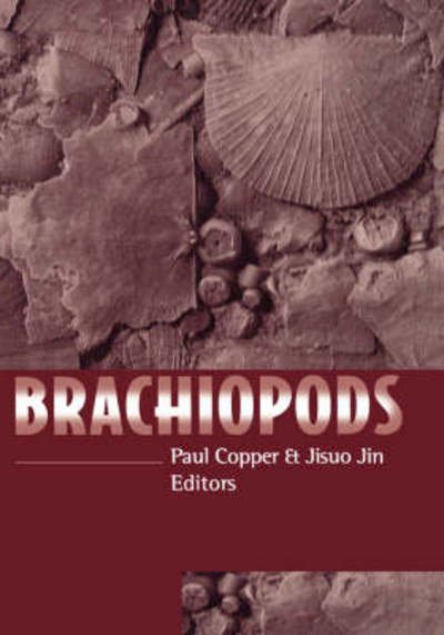 Brachiopods - Paul Copper - Books - A A Balkema Publishers - 9789054108160 - June 1, 1996