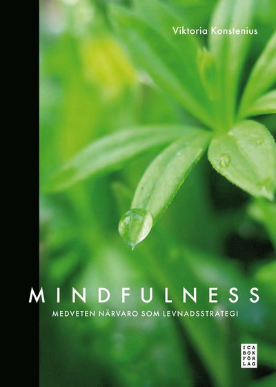 Mindfulness : medveten närvaro som levnadsstrategi - Viktoria Konstenius - Livros - Ica Bokförlag - 9789153434160 - 19 de maio de 2010