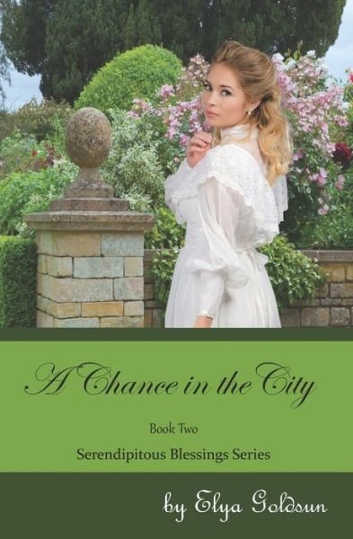 Cover for Elya Goldsun · A Chance in the City (Paperback Bog) (2021)