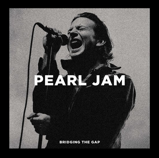 Cover for Pearl Jam · Bridging the Gap (LP) (2021)