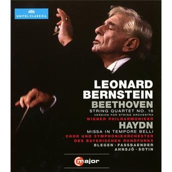 Cover for Beethoven / Haydn / Bernstein / Blegen / Sotin · Beethoven String Quartet No. 16 / Missa in Tempore (Blu-ray) (2012)