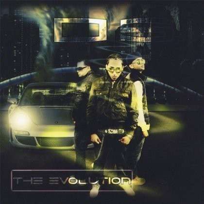 Cover for Ds · Evolution (CD) (2009)