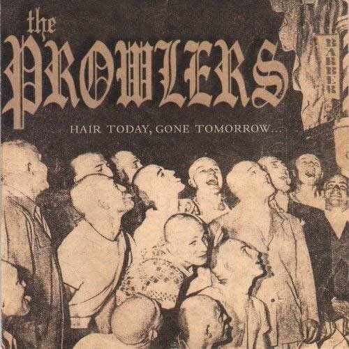Cover for Prowlers · Hair Today Gone Tomorrow (LP) (2013)