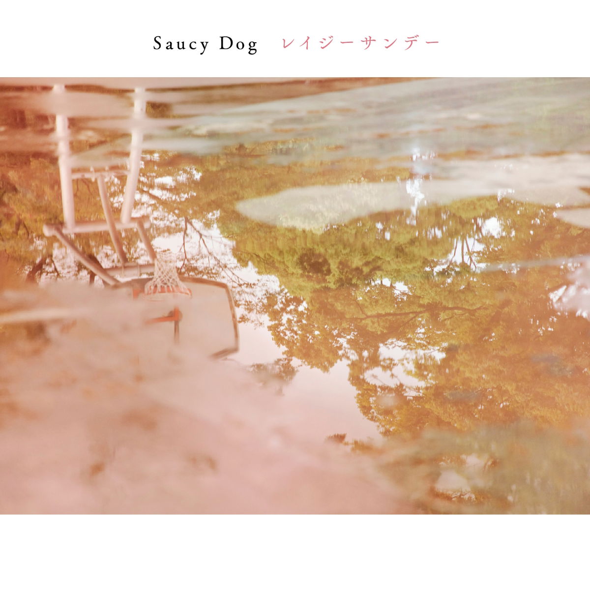 廃盤】Saucy Dog CD 嘘月の雨の理由 / ウソツキノナミダノワケ - 邦楽